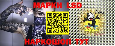 прущие грибы Будённовск
