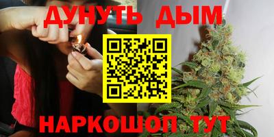 прущие грибы Будённовск