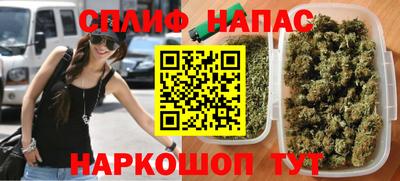прущие грибы Будённовск
