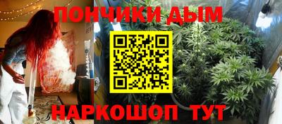 прущие грибы Будённовск