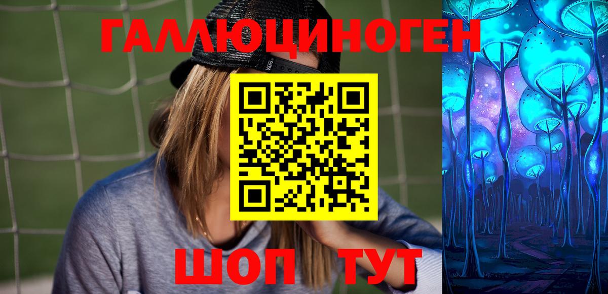 Галлюциногенные грибы Psilocybine cubensis Северодвинск